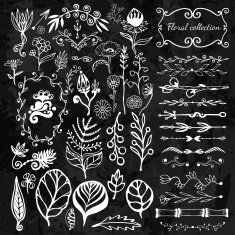 Hand-drawn floral big set with wild flowers leaves swirls border N2