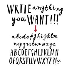 Brush hand drawn vector font N2
