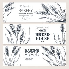 Bread horizontal banners Vector illustration