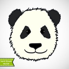 drawn panda's head