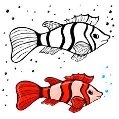 Fish Coloring Pages N12