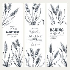 Bread vertical banners Vector illustration