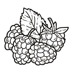 cute Raspberry N2