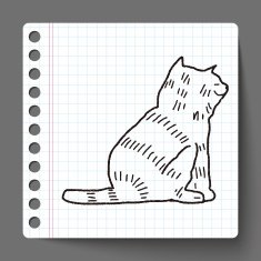 cat doodle drawing N129