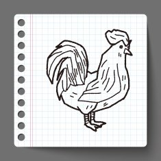 Chicken doodle N30