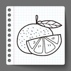 orange doodle N18
