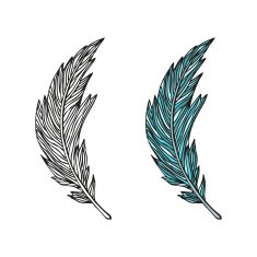 Doodling hand drawn amazing feathers with patterns N5