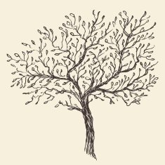 Vintage Olive Engraved Background Illustration N2