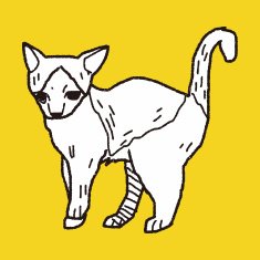 cat doodle drawing N130