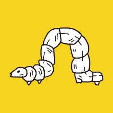 caterpillar doodle N27