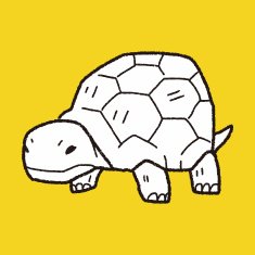 Tortoise doodle N10