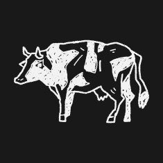 cow doodle N19