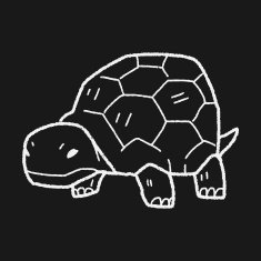 Tortoise doodle N11