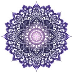 Beautiful Indian floral mandala ornament N38