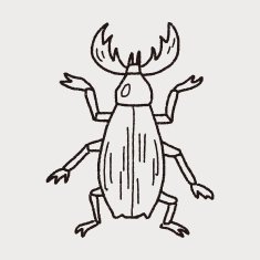 beetle doodle N35