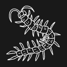 Centipede doodle N5