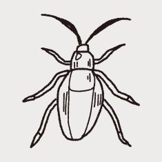 insect doodle N54