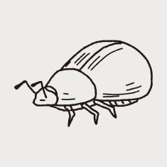 insect doodle N55