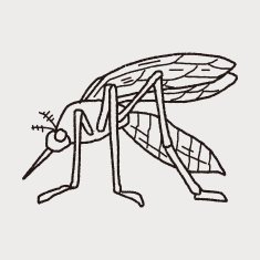 mosquito doodle N7