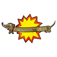 bang! it's a sausage dog N2