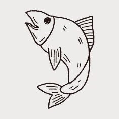 fish doodle N14