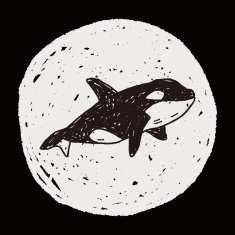 Killer Whale doodle N5