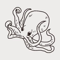 octopus doodle N15