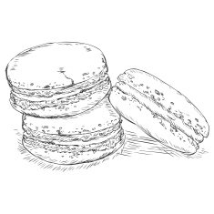 Vector Sketch Macarons Macaroni Sweets