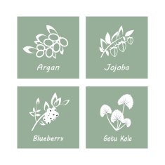 Collection of Herbs Natural Supplements Argan Gotu Kola Blueberry Jojoba