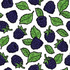 blackberry pattern