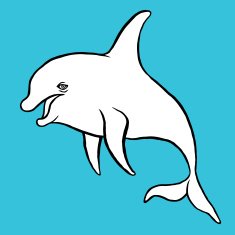 dolphin N4