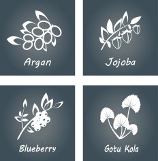 Collection of Herbs Natural Supplements Argan Gotu Kola Blueberry Jojoba N2