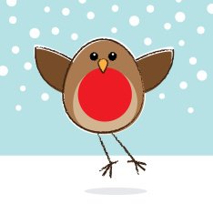 Flying Robin Red Breast in Snow