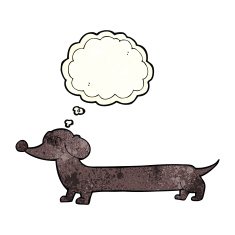 cartoon dachshund with thought bubble N6