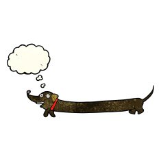 cartoon dachshund with thought bubble N8