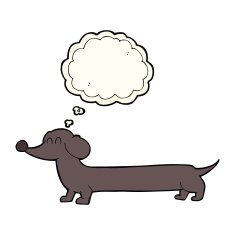 cartoon dachshund with thought bubble N13