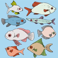 Ink drawing fishes N3