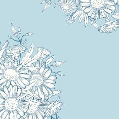 Card with chamomile N3