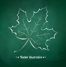 Chalkboard drawing of autumn leaf