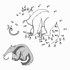 Numbers game (anteater)
