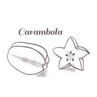 Engraving carambola in vector