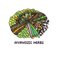 Zentangle element Ayurvedic herbs N3