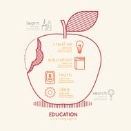 Flat linear Infographic Education Apple Outline concept Vector