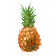 Pineapple vector logo design template food or watercolor icon