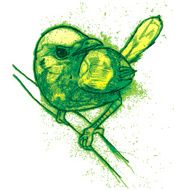 Little Bird N3