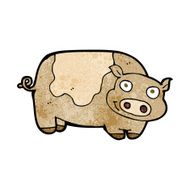 Cartoon Pig N57