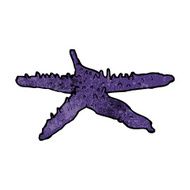 Cartoon Starfish N42