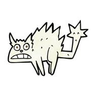 cartoon frightened cat N20