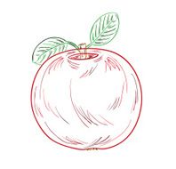 Apple sketch N2
