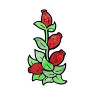 cartoon rosehip flowers N2